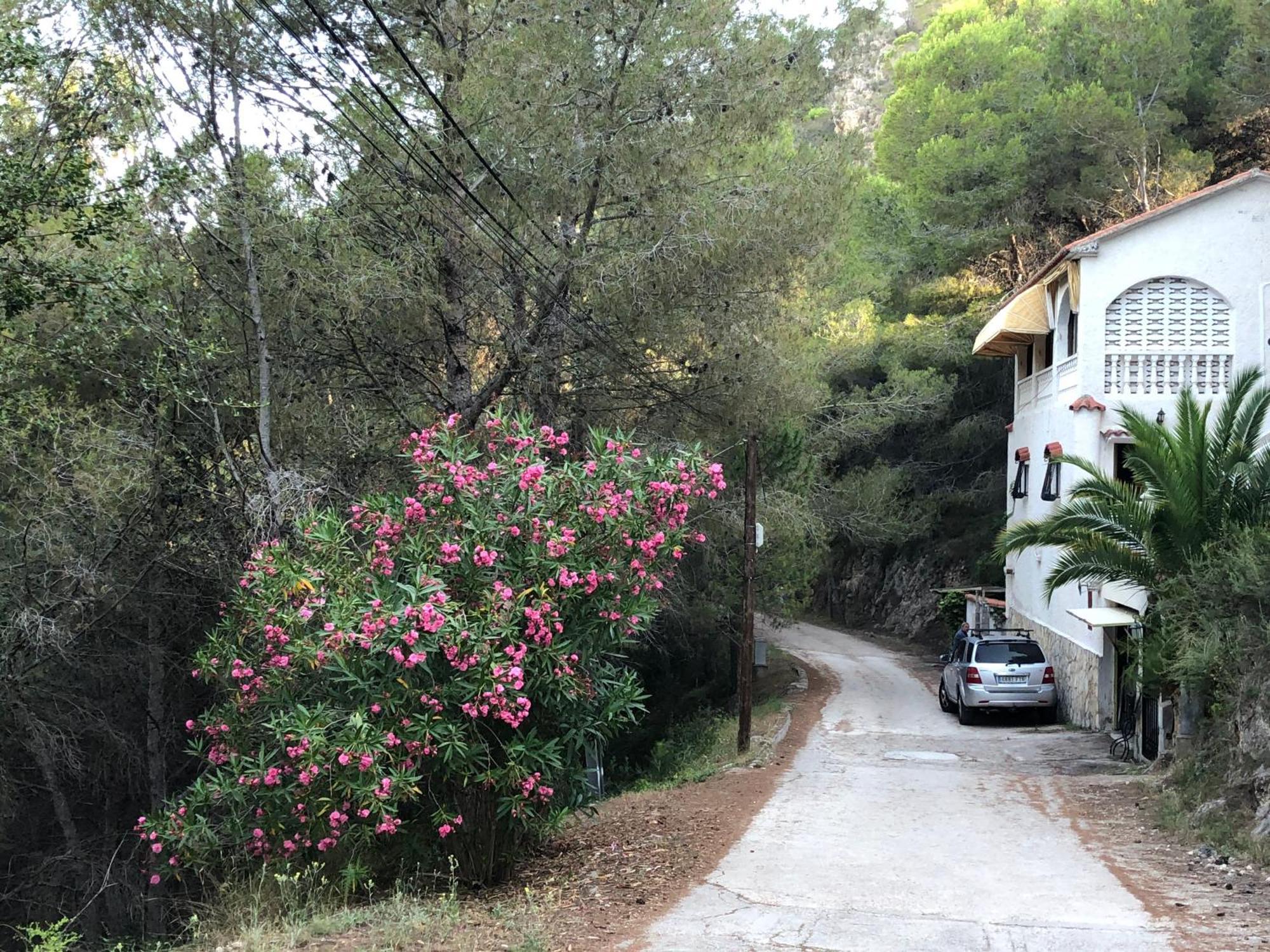 Almisera Villa Almiserat Exterior foto